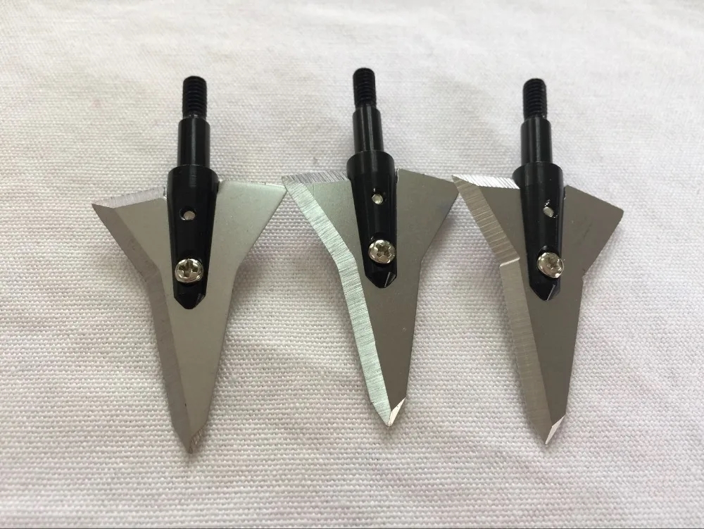 弩拔剑张指什么肖