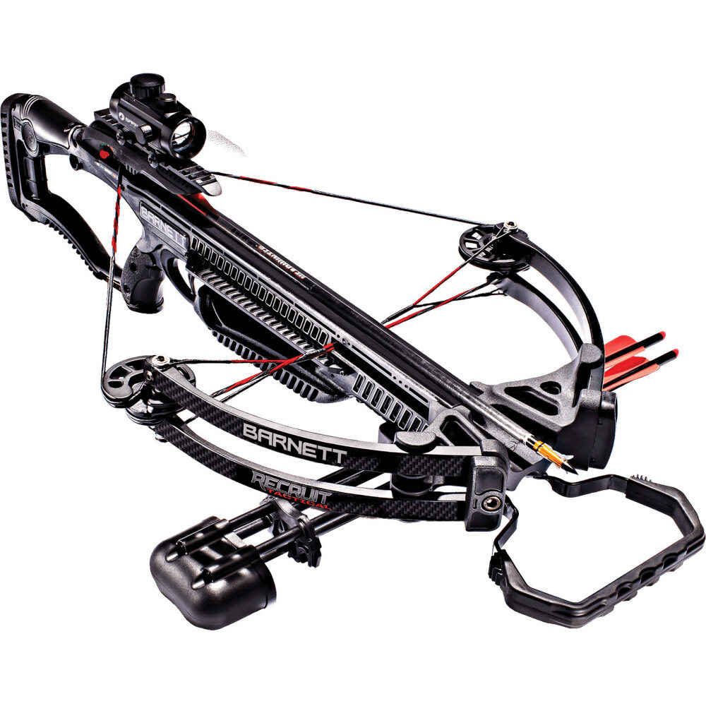 中华弓箭网