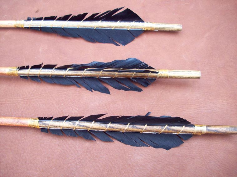 复合弓射手 复合弓射手